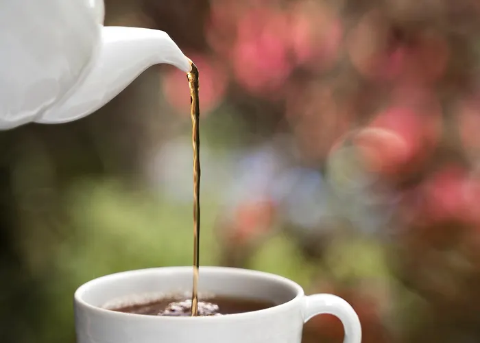 Quintinha Sao Joao & 푼샬