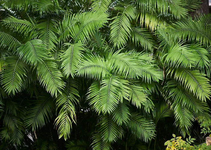 호텔 Quintinha Sao Joao &