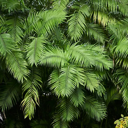 Ξενοδοχείο Quintinha Sao Joao &